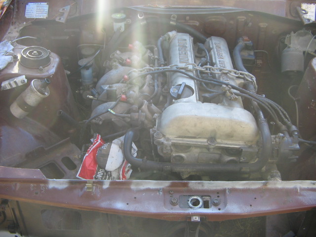 10290_4aebe30b89efc.jpg