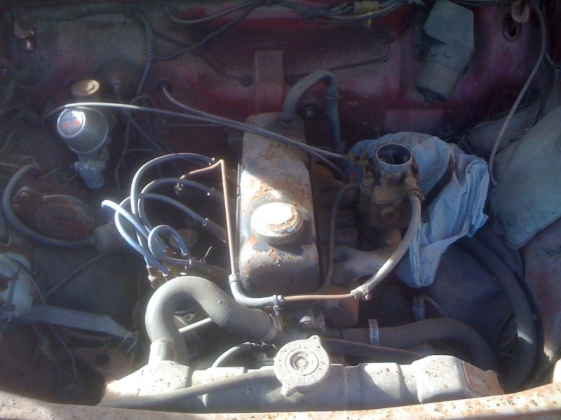 10360_4ae848f45659a.jpg