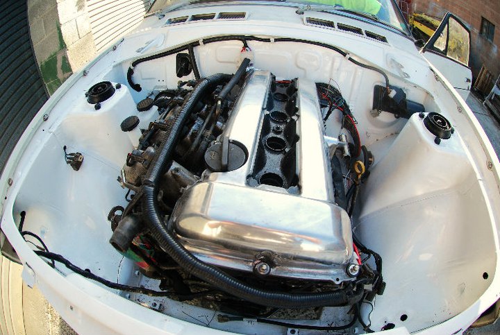 12738_4cc80c7589b42.jpg