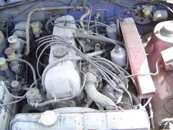 174_65af58ddd1159.jpg