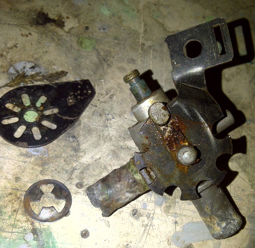 8710_53755e23907af.jpg