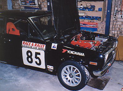 1135.jpg