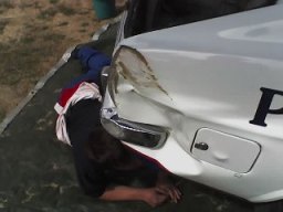13229.jpg
