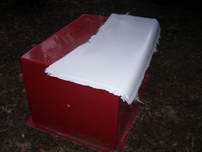 13688.jpg