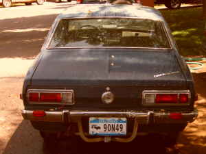 19613.jpg
