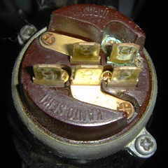 20004.jpg