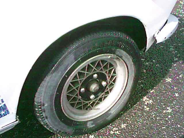 2195.jpg
