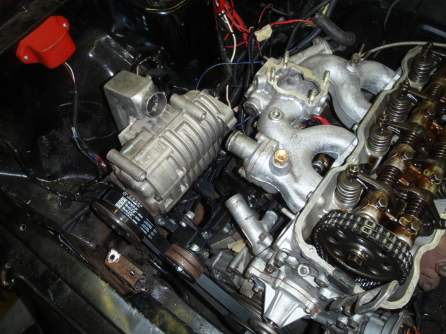 21956.jpg