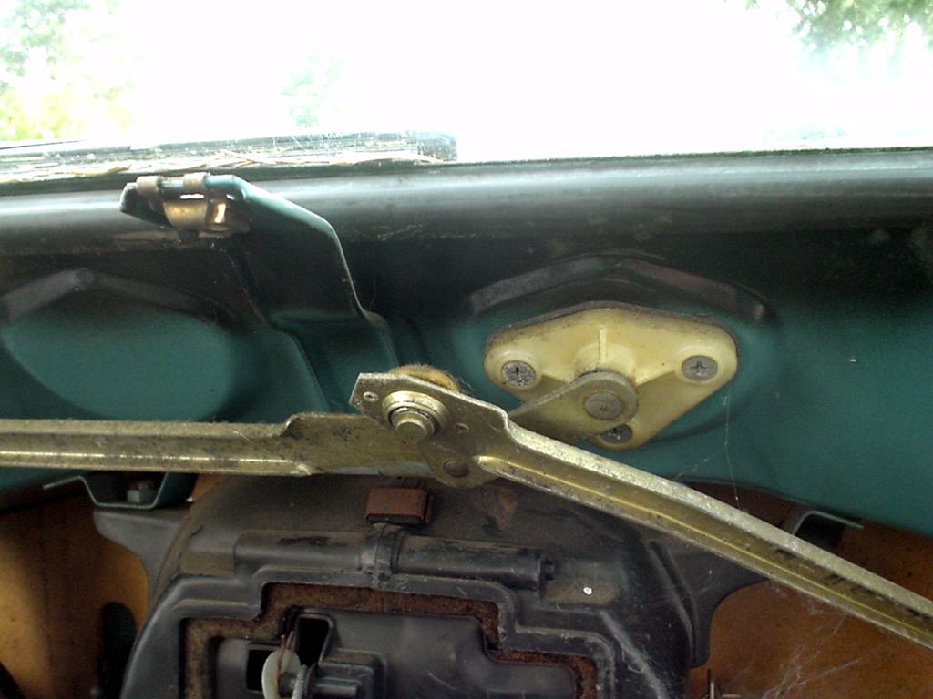 24155.jpg