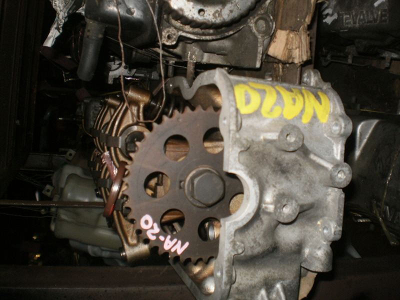 24254.jpg
