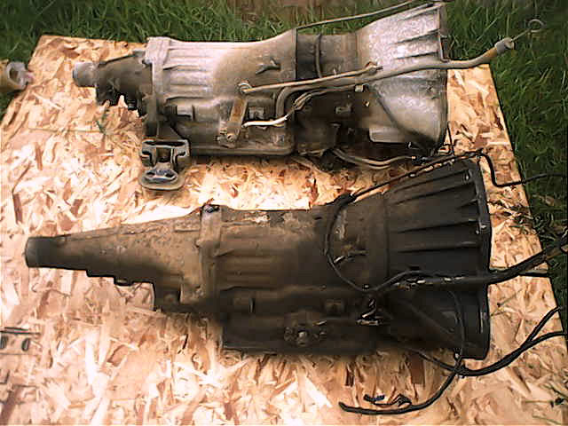 24256.jpg