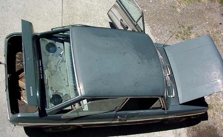 2454.jpg