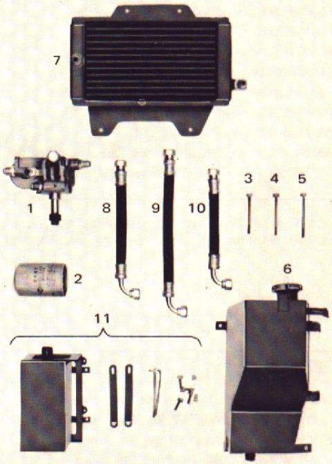 25427.jpg