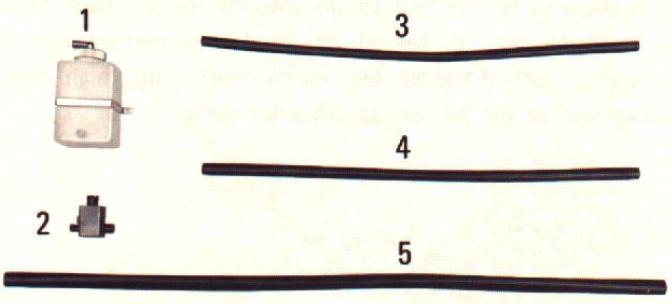 25428.jpg