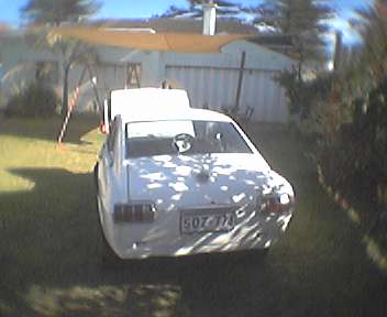 2548.jpg