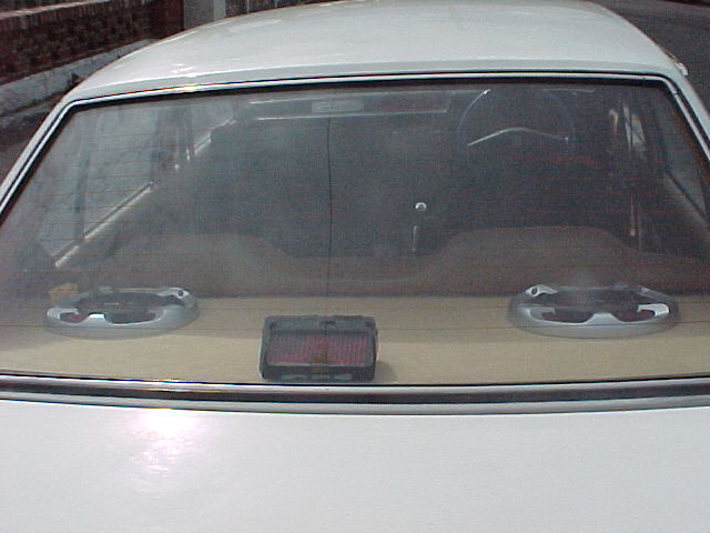 2554.jpg
