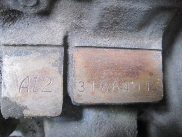 26177.jpg