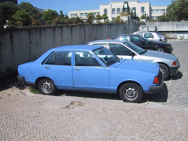 265.JPG