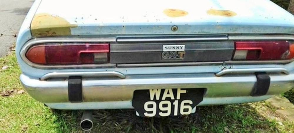 29267.jpg