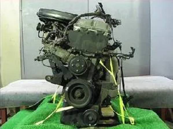 29495.jpg