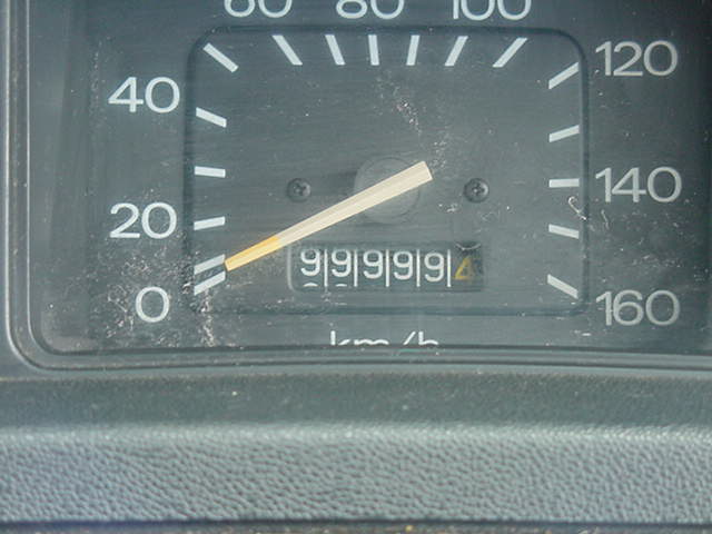 3266.jpg