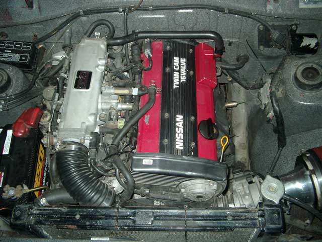 3355.jpg