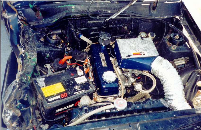 354.jpg