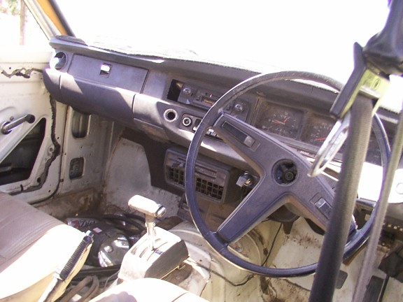 3585.jpg
