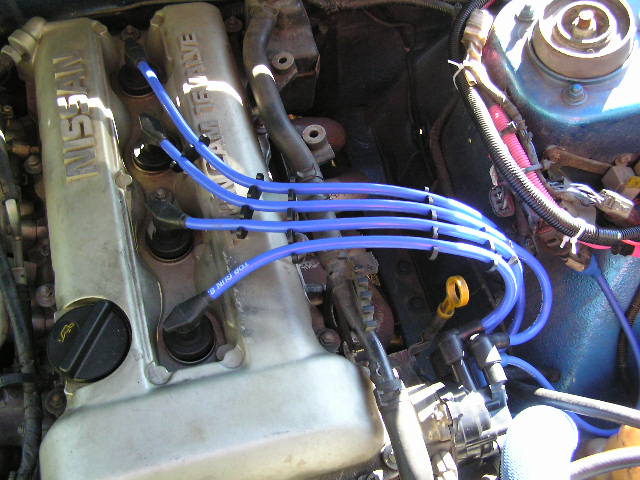 3845.jpg