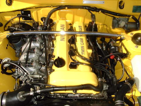 4171.jpg
