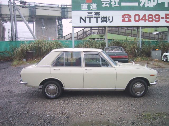 4239.jpg