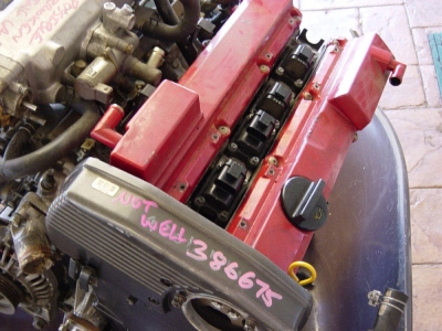 439.jpg