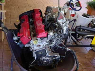 440.jpg