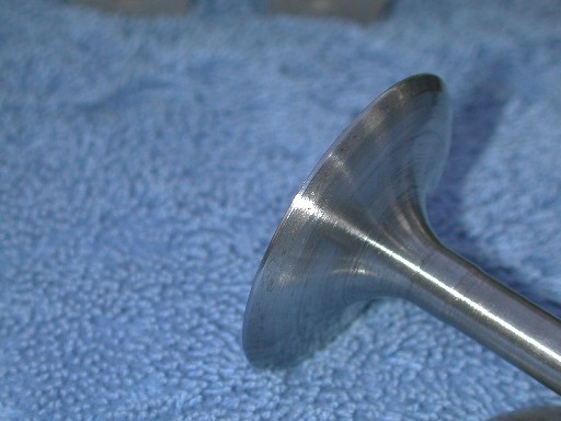 4416.jpg