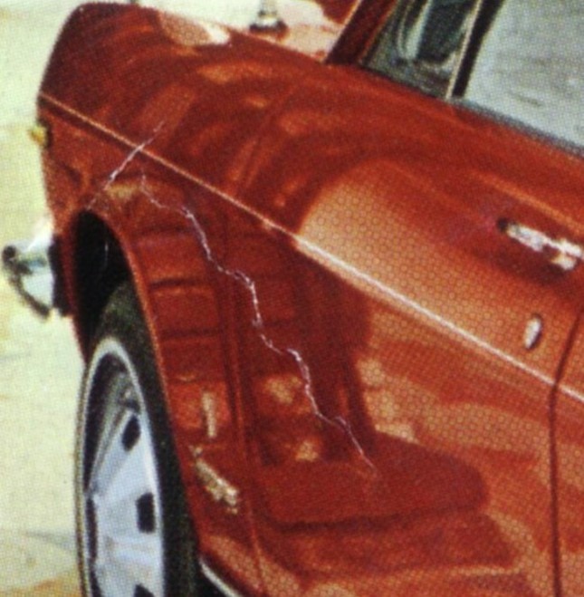4584.jpg