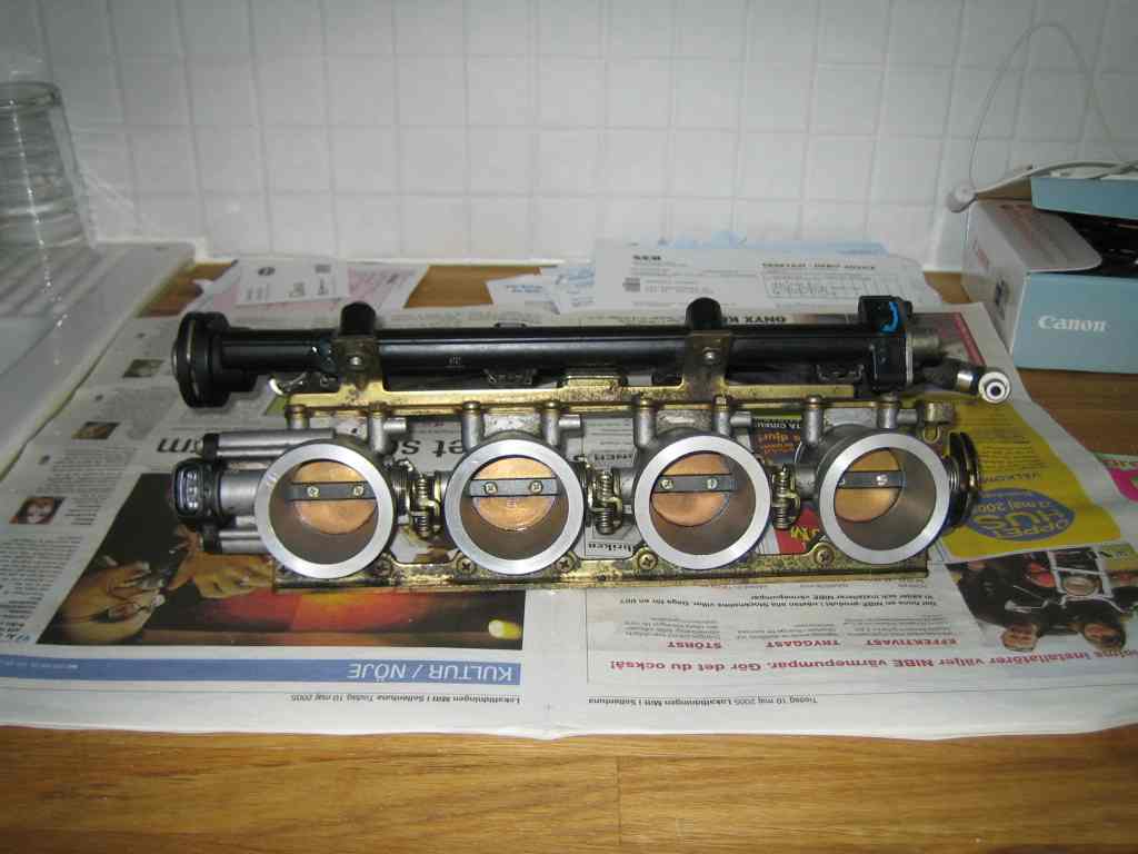 6310.jpg