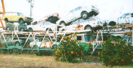 7505.jpg