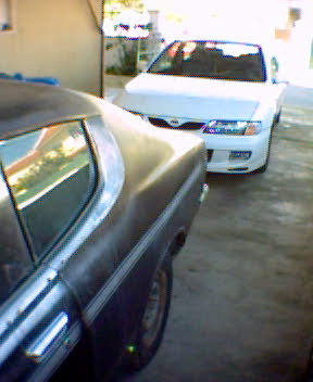 8143.jpg