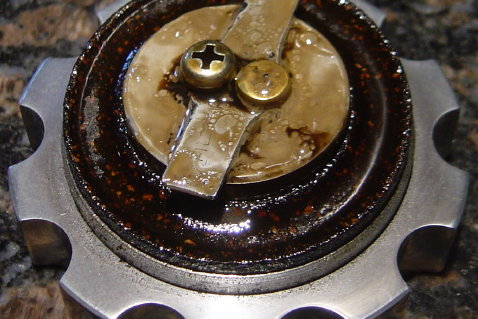 8710.jpg