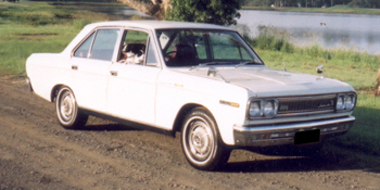 9053.jpg