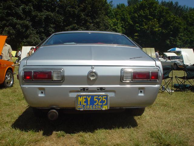 9995.jpg